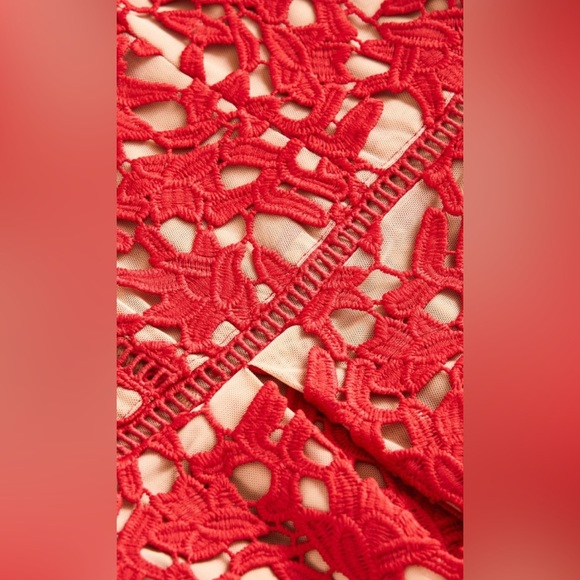 CITY CHIC SO FANCY LACE, FIT AND FLARE DRESS - SCARLET SIZE 20 (NEW WITH TAGS) - Picture 5 of 6